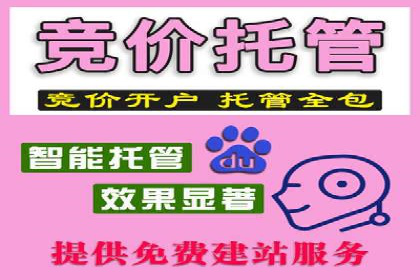 百度推广在电商行业的成功实践